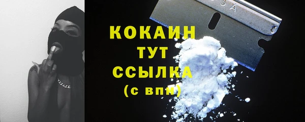 крисы Аркадак