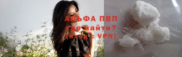 крисы Аркадак