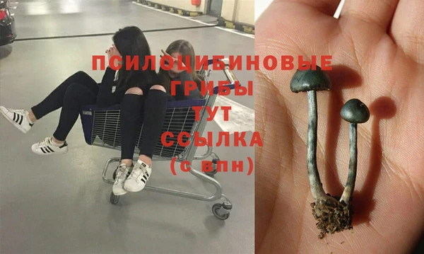 мет Армянск